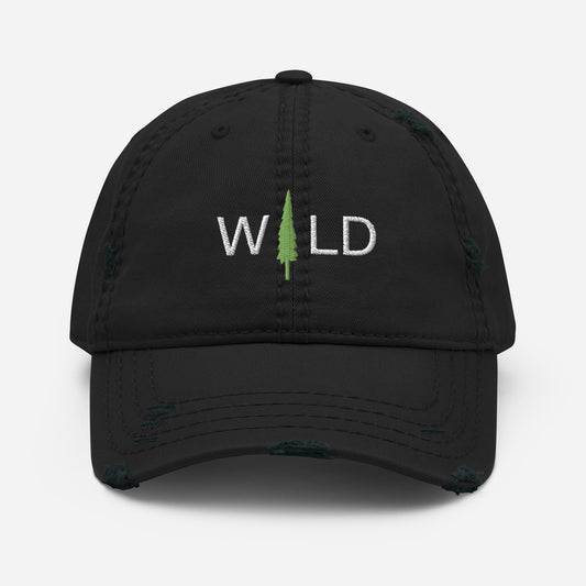tree forest wild outdoor national hat cap ballcap nature explore outside free mountain hiking